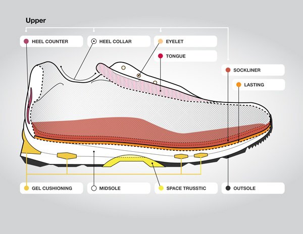 What is the Difference between Basketball Shoes And Sneakers?
